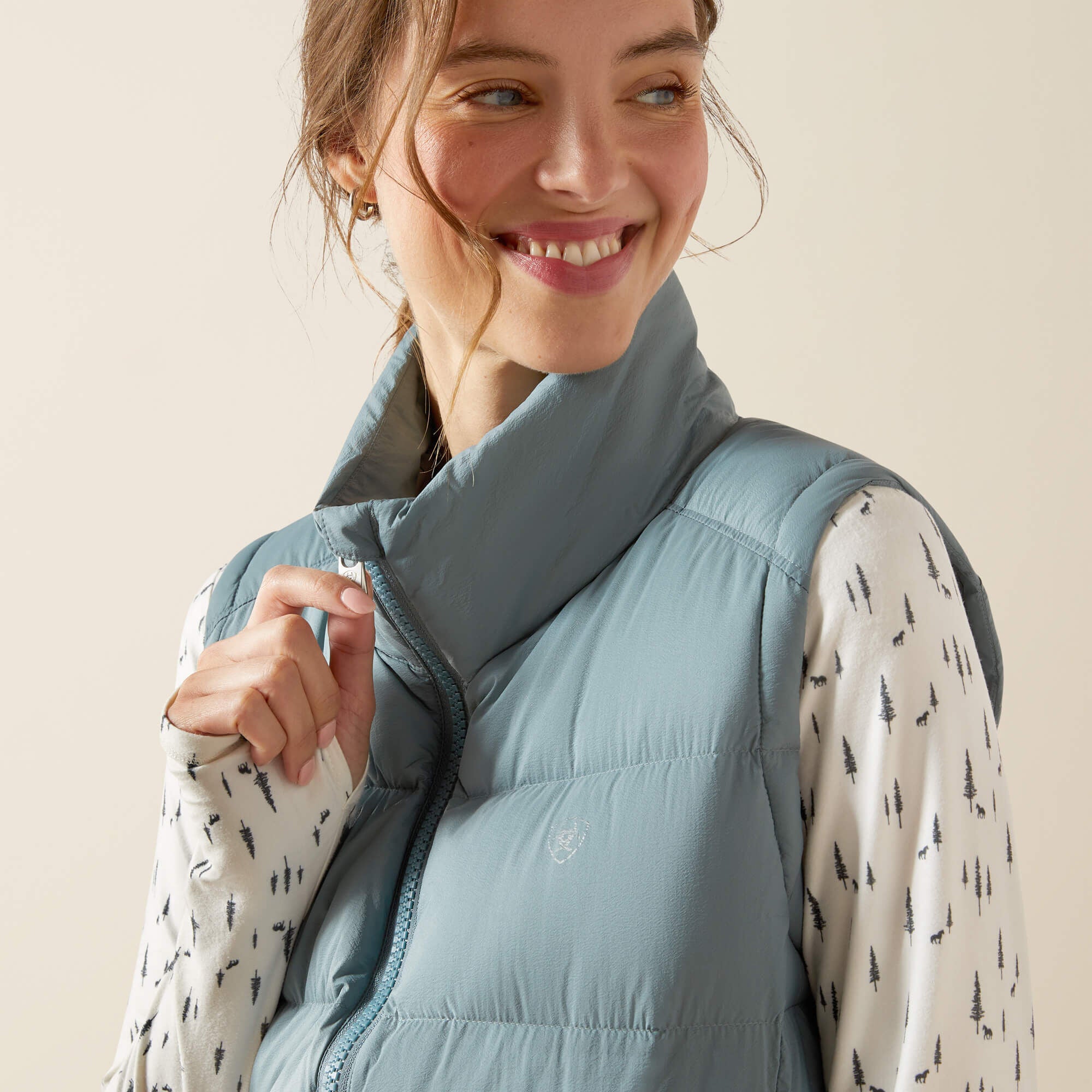 UltraPuff Down Vest